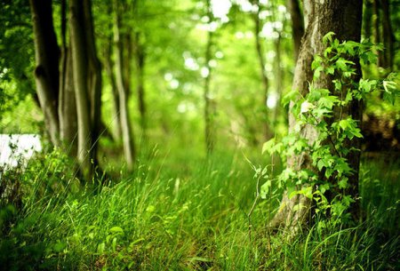 Sabahın havası: 28 dərəcə isti olacaq