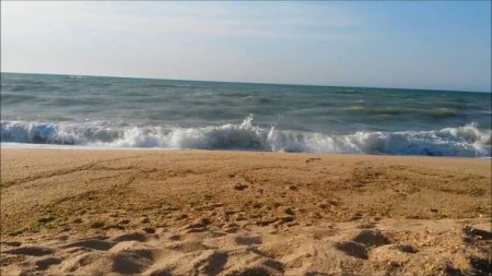 Abşeronda dəniz sahilindən qanunsuz qum daşıyanlar ələ keçdi