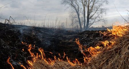 Bakıda qamışlıq və məişət tullantılarının olduğu ərazidə yanğın baş verdi