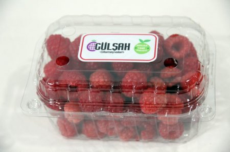 Ekoloji təmiz "İsmayıllı moruğu" -  VİDEO