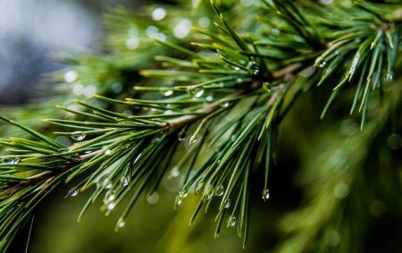 Bu gecədən hava dəyişir - XƏBƏRDARLIQ