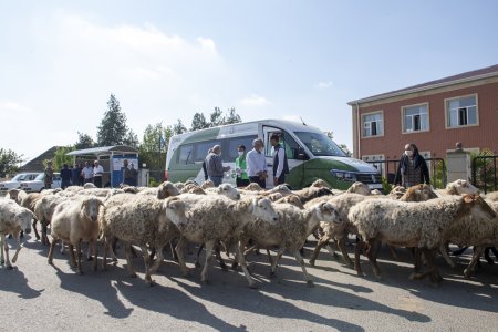 Kürdəmirdə fermerlərə payızlıq əkinlərin bəyanı ilə əlaqədar səyyar aqrar xidmət göstərilib