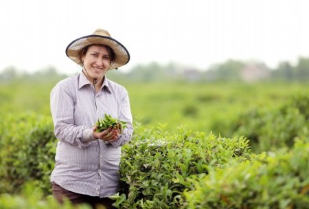 Azərbaycana aqrar məsləhət xidmətləri və müsbət təcrübə modelləri təklif ediləcək