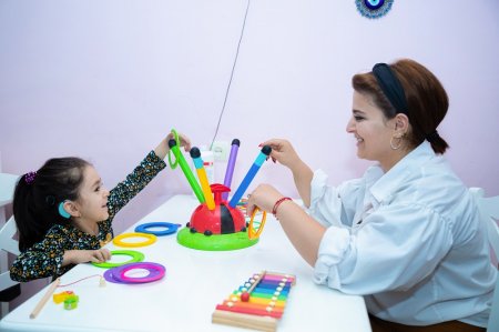 Bu il 10 mindən çox şəxs sosial xidmətlərlə əhatə olunub