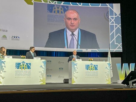 DSMF sədri Dünya Sosial Təminat Forumunun  panel sessiyasında çıxış edib