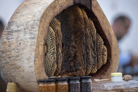 Bu il Bal yarmarkasında 90 tona yaxın arıçılıq məhsulu satılıb