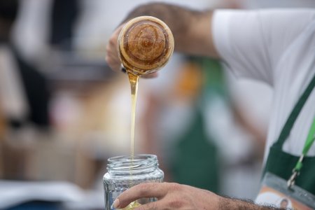 Bu il Bal yarmarkasında 90 tona yaxın arıçılıq məhsulu satılıb