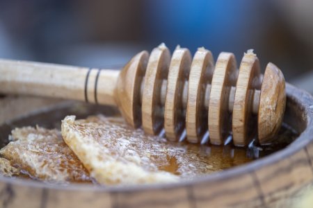 Bu il Bal yarmarkasında 90 tona yaxın arıçılıq məhsulu satılıb