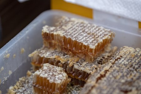 Bu il Bal yarmarkasında 90 tona yaxın arıçılıq məhsulu satılıb