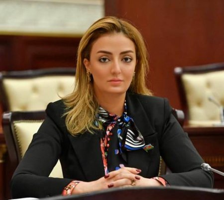 Könül Nurullayeva: “Soçi bəyanatı Ermənistana öz öhdəliklərini bir daha xatırlatdı”